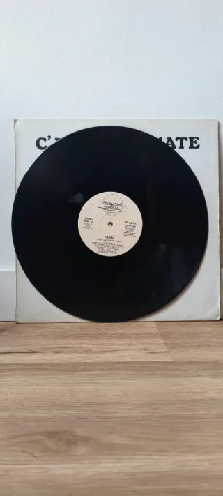 Karin - C'Est La Ouate Vinilo LP