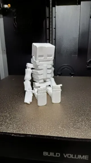 Esqueleto Articulado