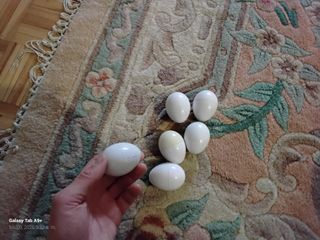 Juego 6 piezas encajables y clasificables