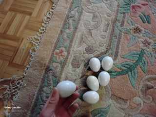 Juego 6 piezas encajables y clasificables