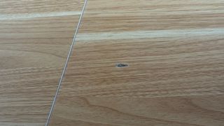 Escritorio Elevable Flexispot 140x60cm Arce+Blanco