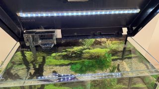 Acuario AquaLed 40l con LED y accesorios
