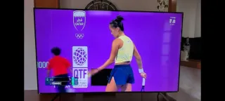 Televisor Samsung 55 Negro