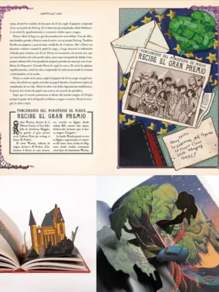 LOTE HARRY POTTER ILUSTRADOS