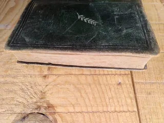 Libros la odisea y la iliada 1941