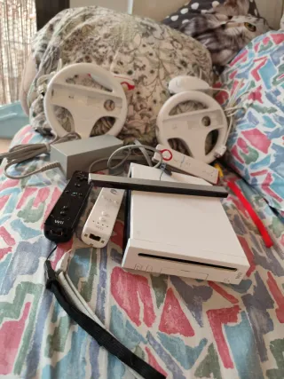 Nintendo Wii Blanca + Accesorios