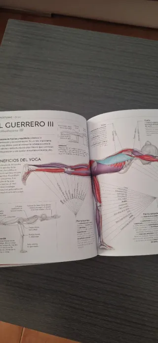Anatomía del yoga: Un estudio fisiológico postu...