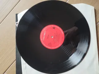 LP Garibaldi - Que Te La Pongo