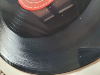 LP Garibaldi - Que Te La Pongo