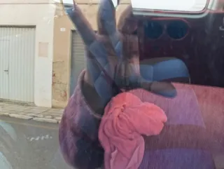 Peugeot Partner 2004