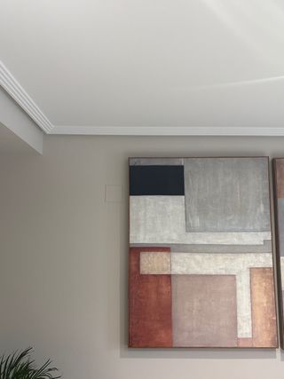 Pareja de cuadros decorativos