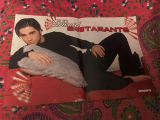 Pósters Operación Triunfo 1. Pegatinas Bravo y CDs