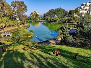 Estudio en venta en Puerto Marina en Benalmádena