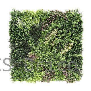 Jardín Vertical Modelo Borneo B - 1 m2