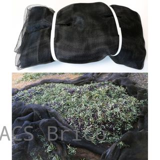 Manto Aceitunas Recolección - 80 g/m² - Negro - 7x14 m