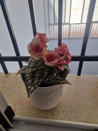 Chalet en venta en Centro en Puerto Real