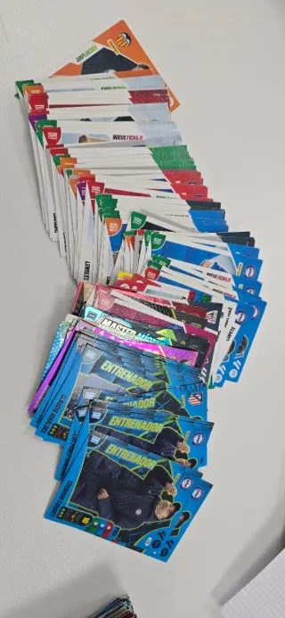 Cromos Adrenalyn XL 24-25