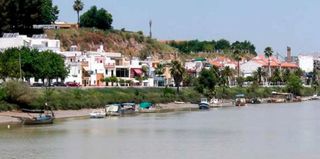 Chalet en venta en Coria del Río