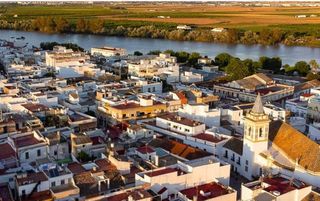 Chalet en venta en Coria del Río