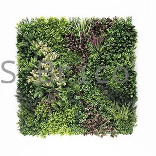 Jardín Vertical Modelo Borneo A - 1 m2