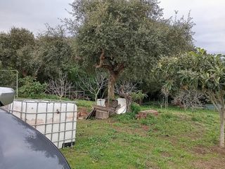 Casa rural en venta en Barrios (Los)