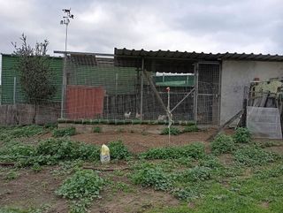 Casa rural en venta en Barrios (Los)