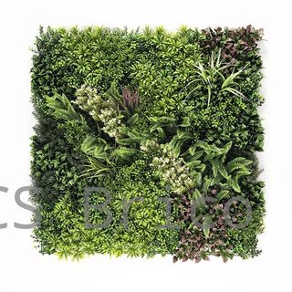 Jardín Vertical Modelo Borneo C - 1 m2