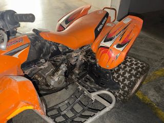 Quad Polaris Pedrator 500