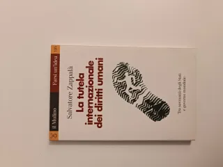 La tutela internazionale dei diritti umani