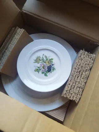 Servizio piatti Melitta floreale