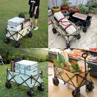 Carro Acero Playa Plegable 50 Kg - 75x53x48 cm