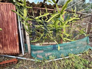 Casa en venta en Centro Histórico en Vélez-Málaga