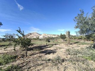 Casa rural en venta en Aspe