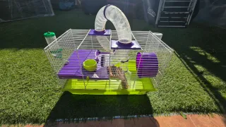 Jaula para roedores con accesorios