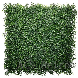 Jardín Vertical Modelo Boj - 1 m2