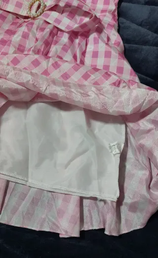 Disfraz Barbie Rosa Cuadros