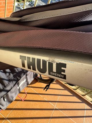Carrito de correr THULE.
