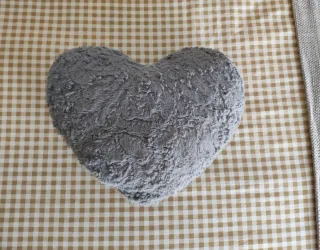 Conjunto cojines corazón y rectangular