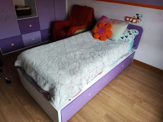 Cama juvenil con 2 colchones.