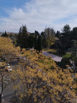 Piso en venta en Marianistas - AVE en Ciudad Real