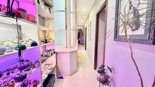 Piso en venta en Mentidero - Teatro Falla - Alameda en Cádiz