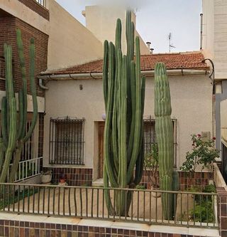 Casa en venta en San Pedro del Pinatar en San Pedro del Pinatar