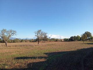 Casa rural en venta en Algaida