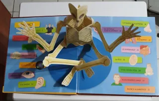 El cuerpo humano - Richard Ferguson