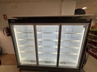 Congelador Frost-Trol 3 Puertas Profesional