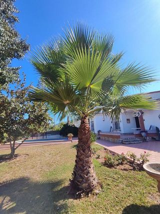 Chalet en venta en Manantiales - Lagar - Cortijo en Alhaurín de la Torre