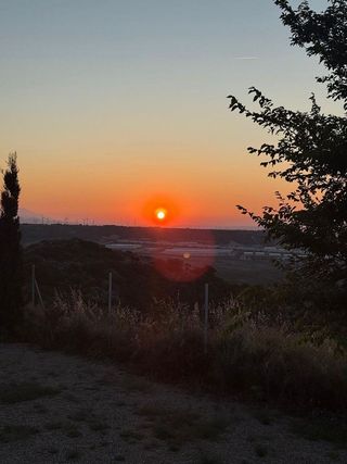 Chalet en venta en Muela (La)