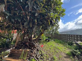 Chalet en venta en Santa María de Guía