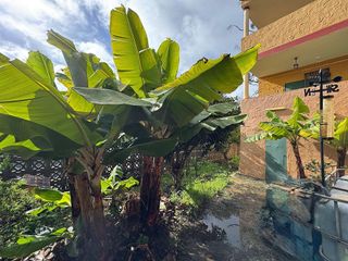 Chalet en venta en Santa María de Guía