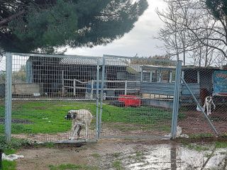 Casa rural en venta en Bollullos de la Mitación
